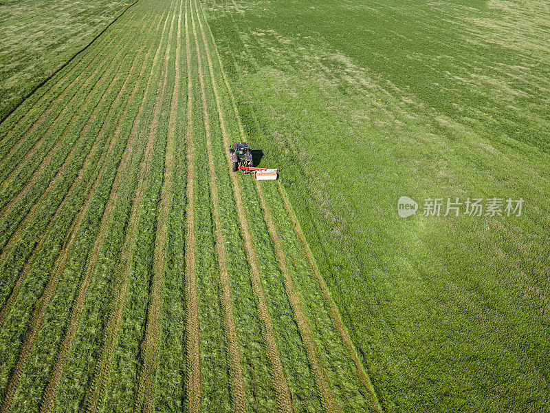 拖拉机割苜蓿的鸟瞰图。春季农业。