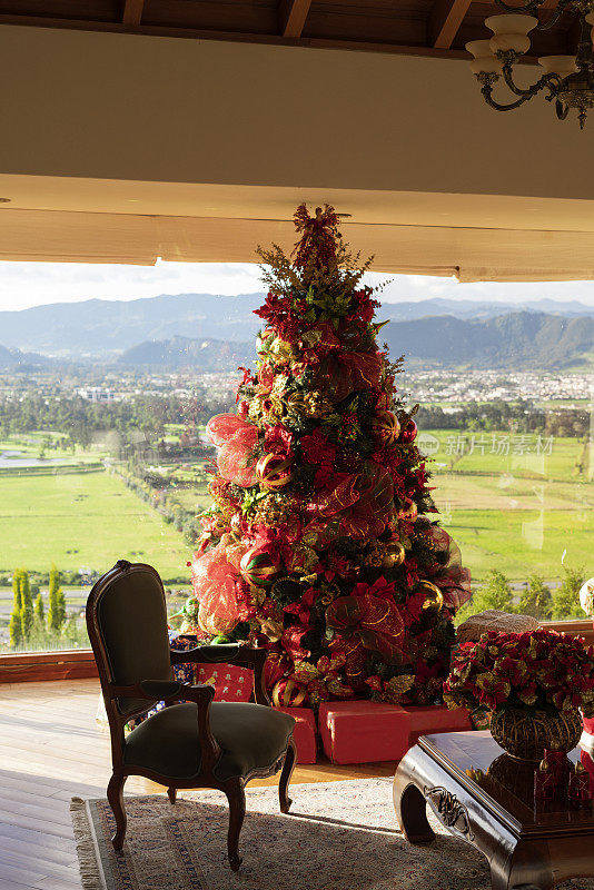 圣诞节装饰的一个房子的客厅