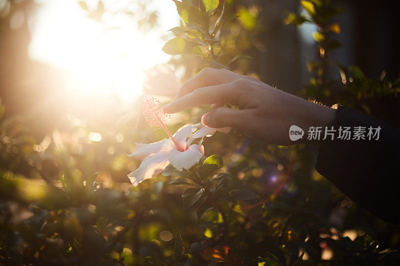 女人弯着脖子，用手轻轻地抚摸着一朵花