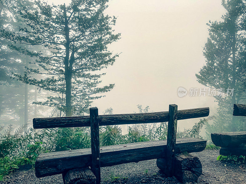 有雾时，黑森林里的长椅。
