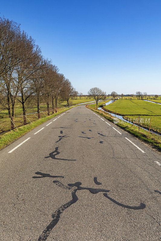 这条公路位于荷兰南荷兰省的乡间
