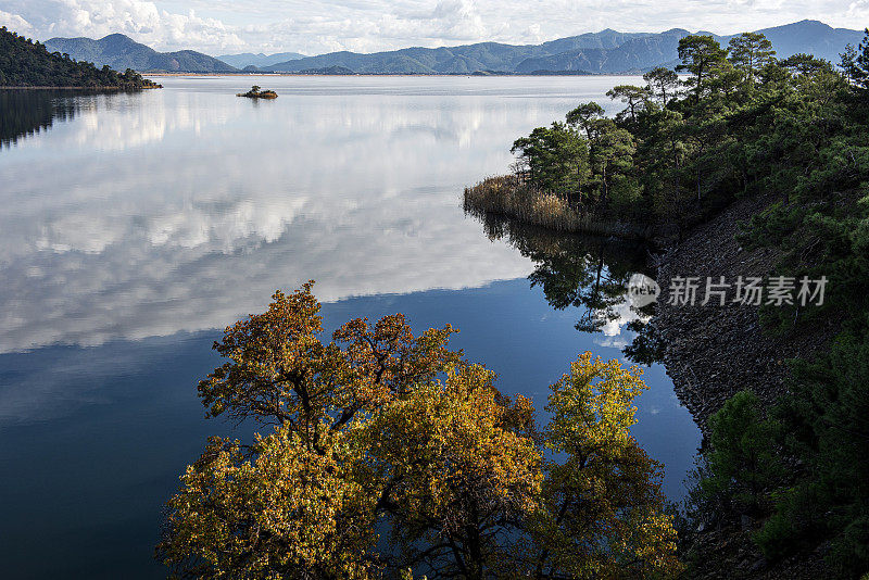 湖岸的森林，天空中的云在水面上的倒影