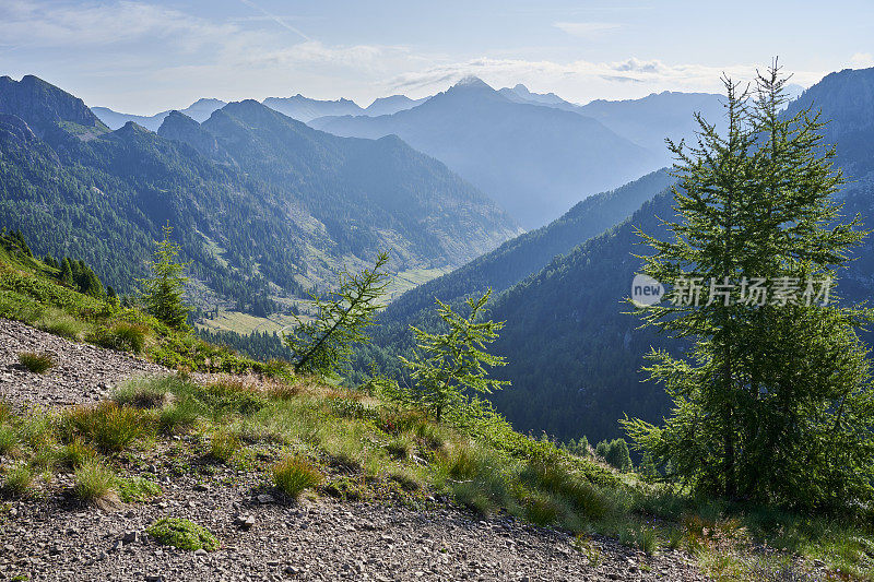 高山峡谷