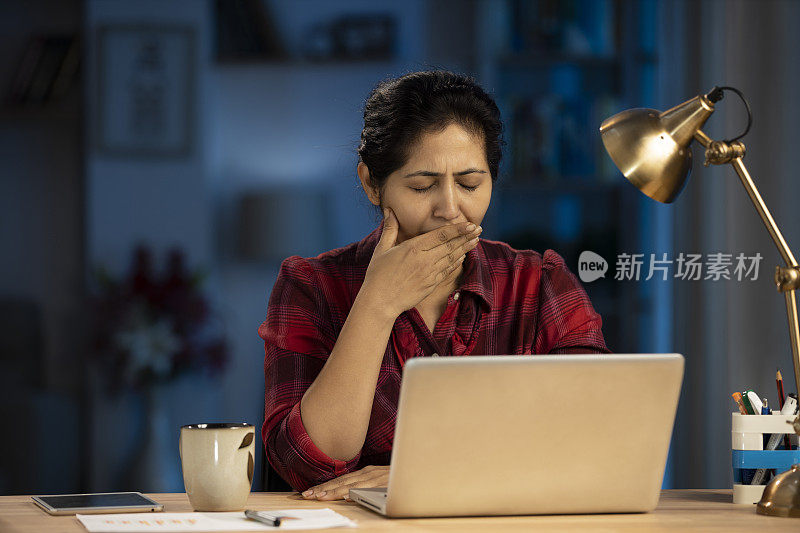 女商人在家里用笔记本电脑。库存图片