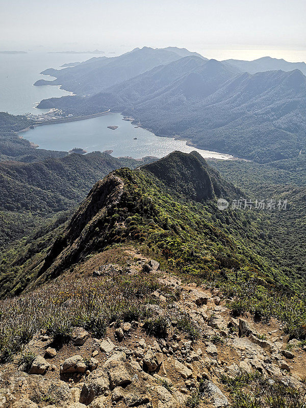 西狗牙，九龙岭，香港