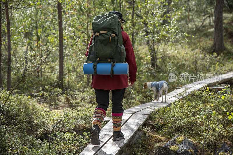 在芬兰的森林和山间小径徒步旅行的女子