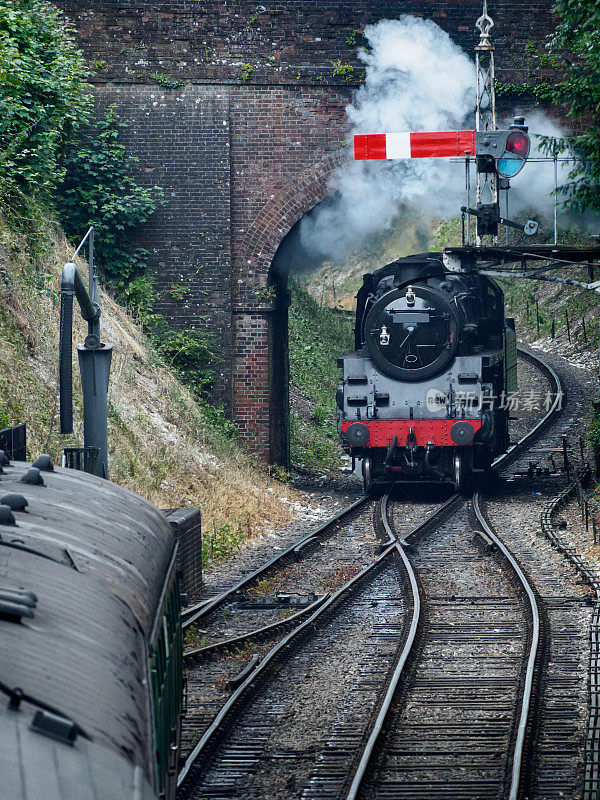 英国汉普郡，水田芥线上的一辆黑色蒸汽火车