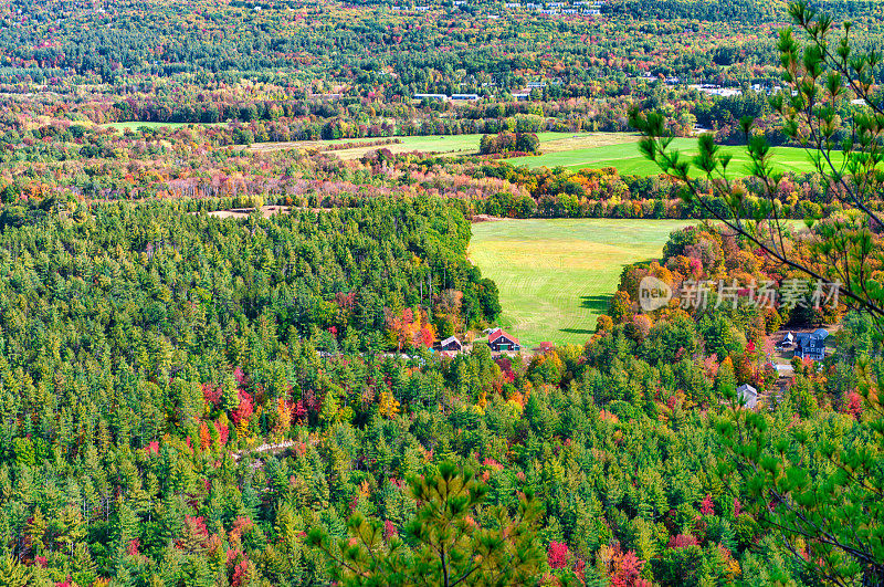 佛蒙特州连绵起伏的丘陵上的秋叶。在新英格兰一个美丽的阳光灿烂的日子里，秋天的巅峰色彩