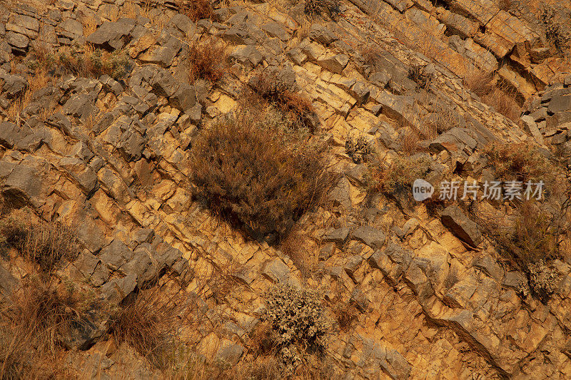 古代阿夫库勒修道院，费特希耶