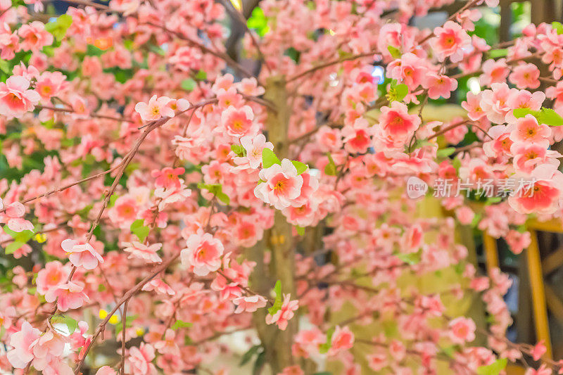 人造花，春日梅花