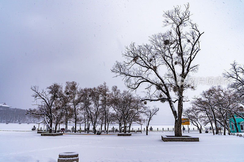 雪中的景颇湖畔