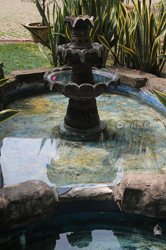 游泳池的水作为装饰在花园里