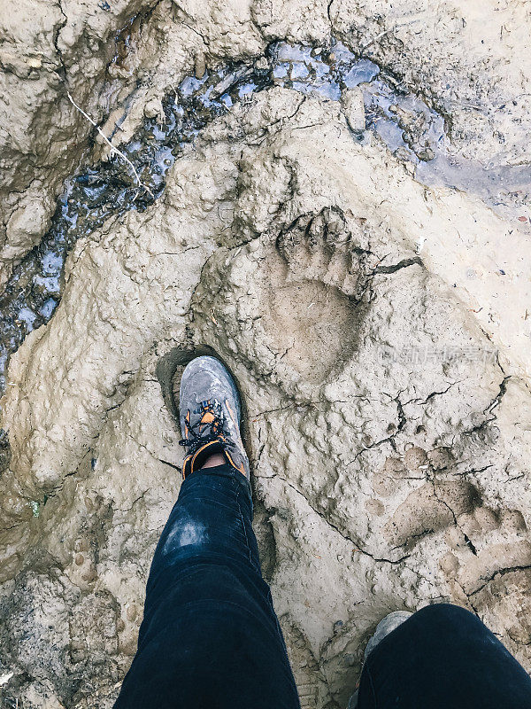 在泥泞的小路上，脚边有熊的脚印