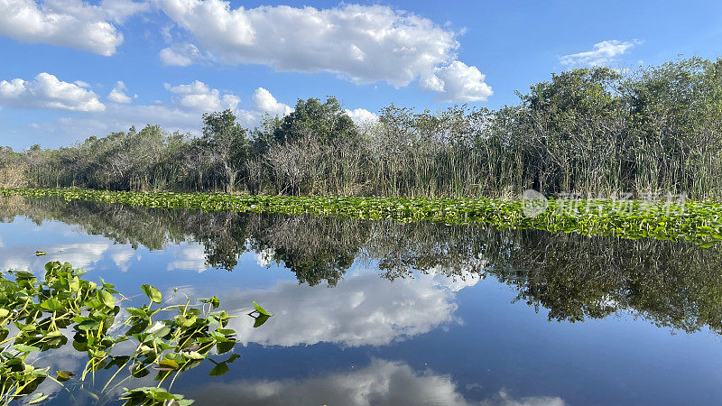 佛罗里达大沼泽地，天气晴朗