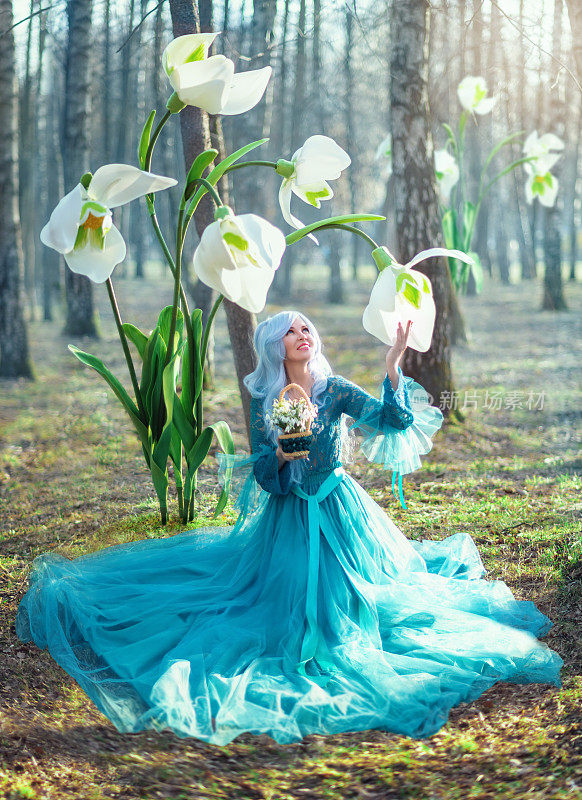 一位穿着蓝色长裙、留着蓝色长发的年轻美丽女子在收集雪花莲。仙女女巫穿过春天的森林