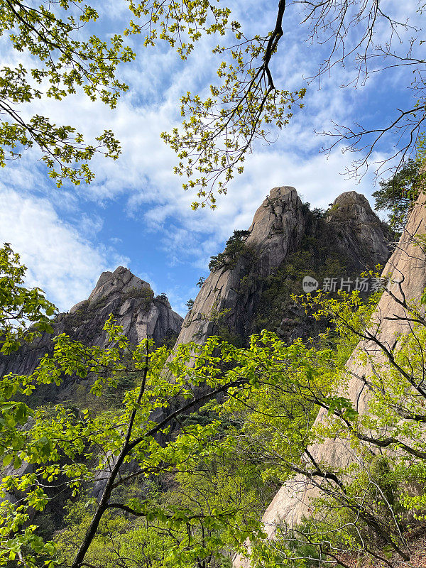 春天的山