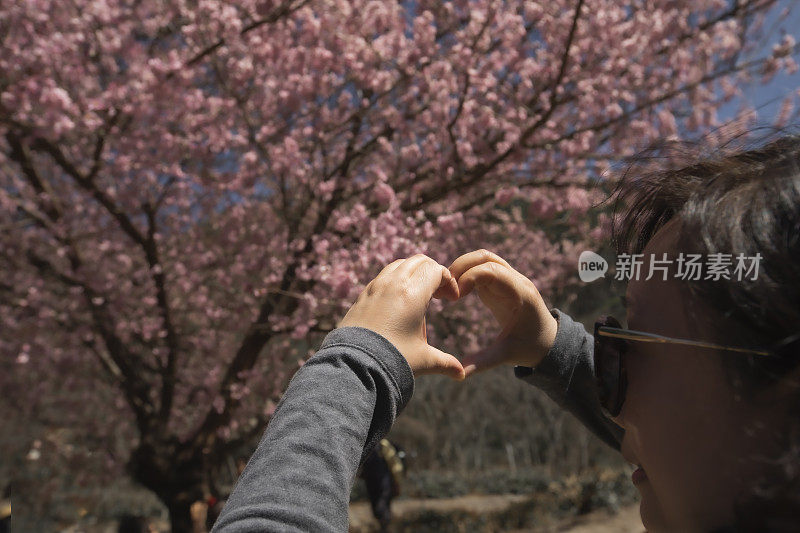 户外的快乐时光，台湾春天的樱花