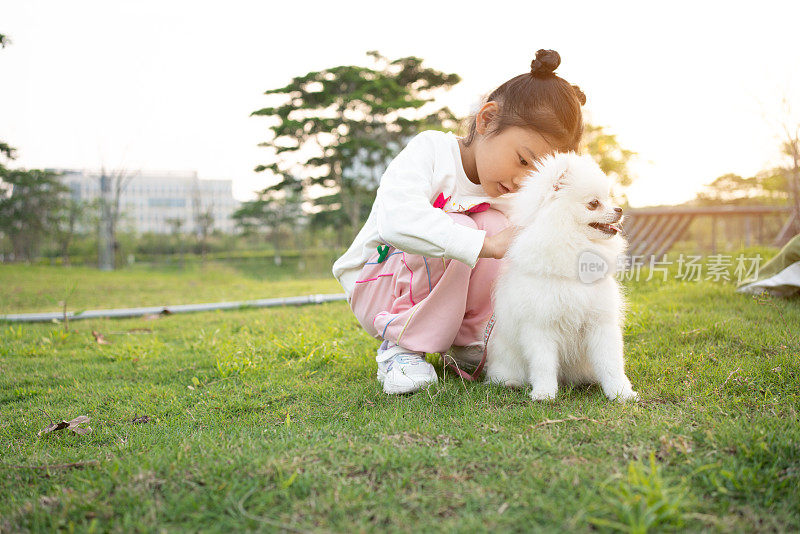 女孩和博美犬在草地上玩耍