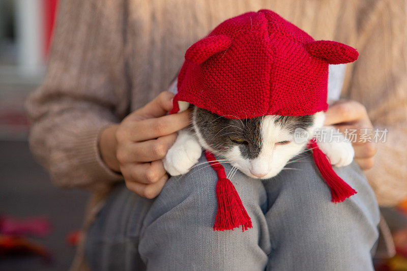 妈妈腿上有一只戴着红帽子的猫