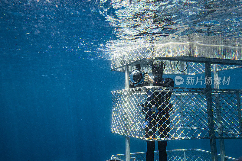 单身男摄影师在水下的鲨鱼笼子里等着给鲨鱼拍照