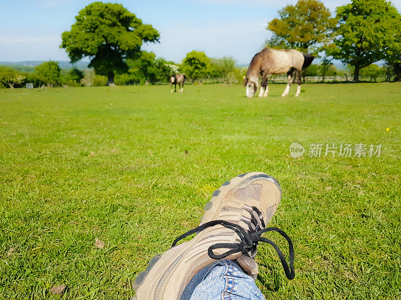 脚上穿着步行靴，沃克坐在那里，看着远处快乐地吃草的小马、树木和草地，这是一个阳光明媚的日子里令人放松的美好时刻。