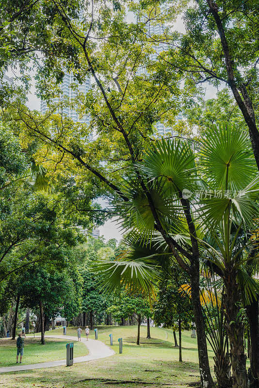 马来西亚吉隆坡KLCC中央公园森林路