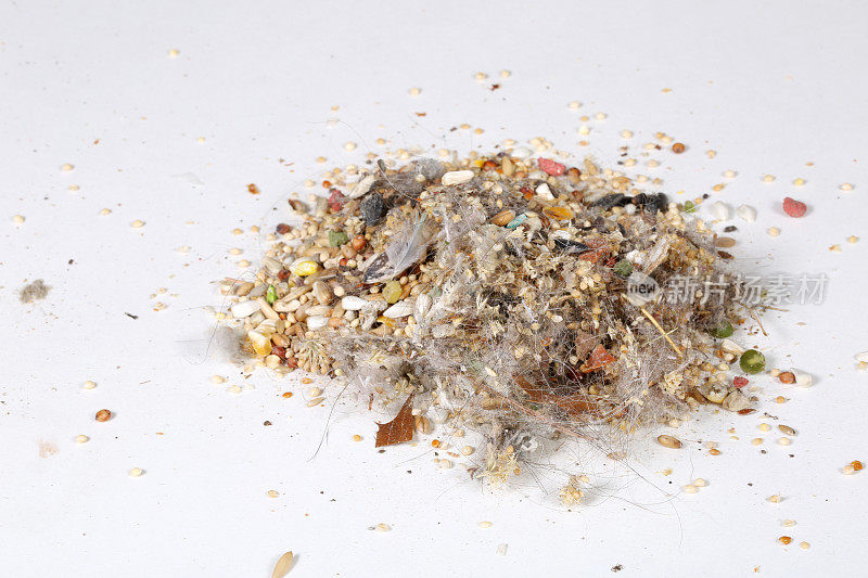 从含有鸟食、污垢和其他尘埃物质的真空吸尘器中产生的灰尘。
