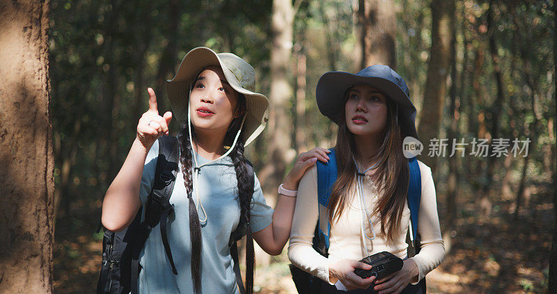 两个年轻的亚洲背包女在森林里带着数码相机走在小路上