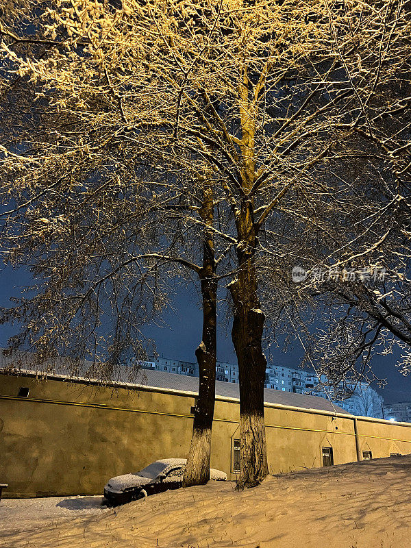 雪树。