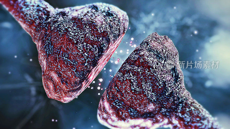 神经元突触，大脑中的脉冲。