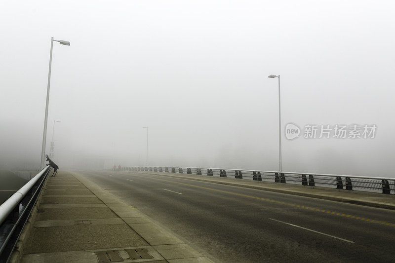 俄亥俄州哥伦布市中心大雾弥漫