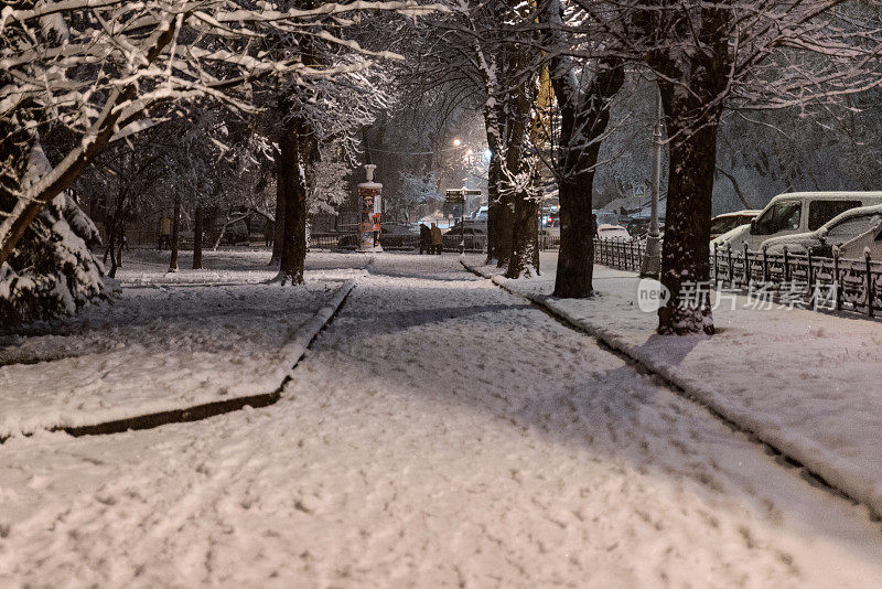 城市公园冬夜景观