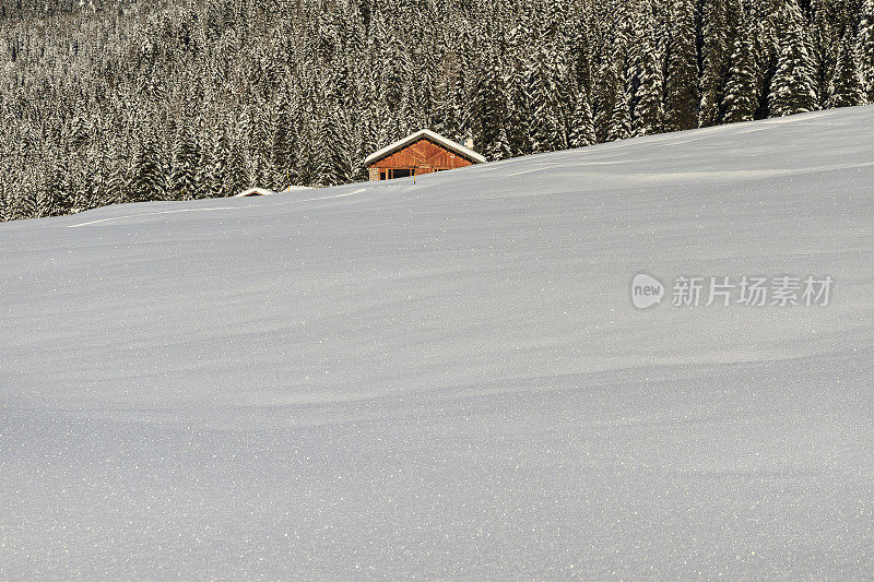 意大利帕莱迪圣马蒂诺自然公园(帕拉集团)里白雪覆盖的森林