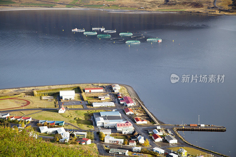 冰岛的鲑鱼养殖场