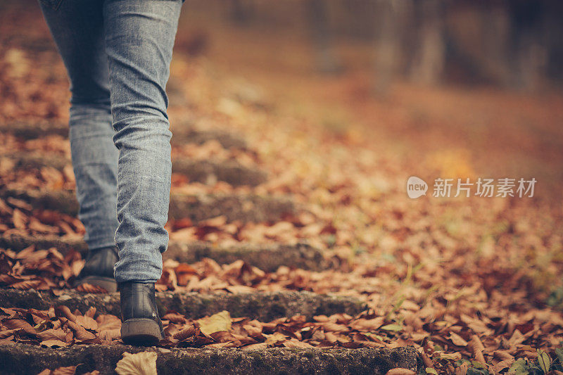 女人的腿踏着秋叶走上楼梯