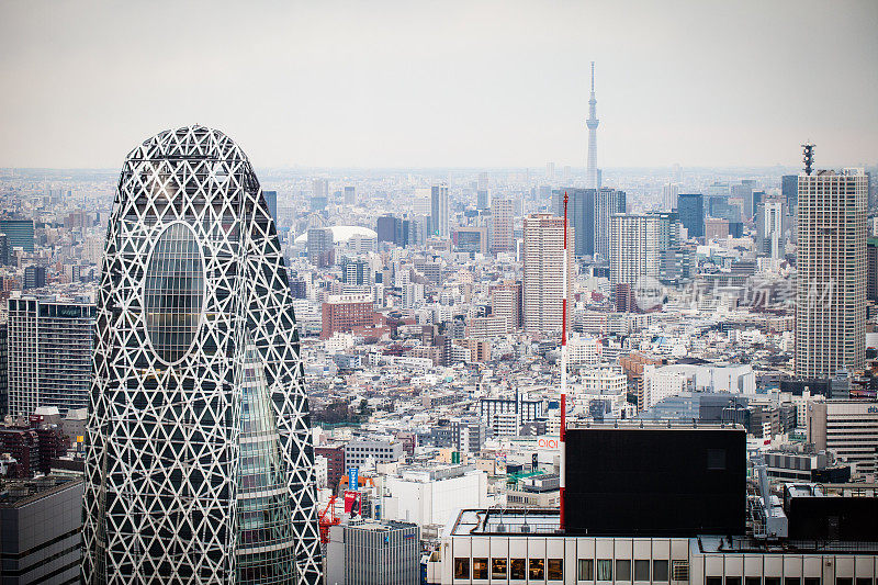 东京的城市