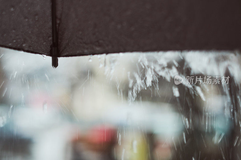 下雨的春日下了一把伞