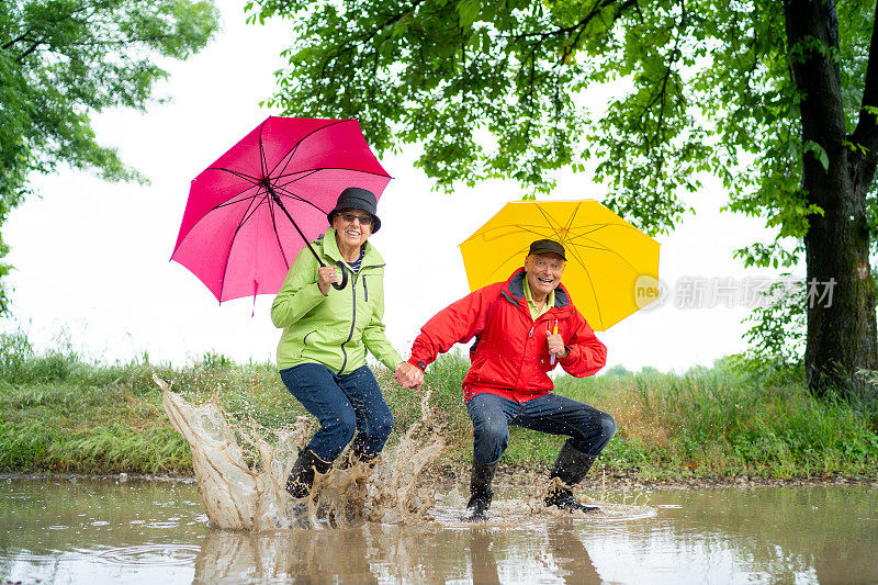 高级夫妇跳在肮脏的雨水坑非常好心情