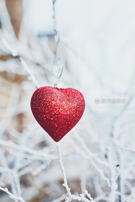 心形圣诞装饰物在白雪覆盖的树枝上
