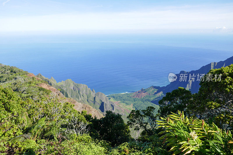 威美亚峡谷，考艾岛，美国夏威夷