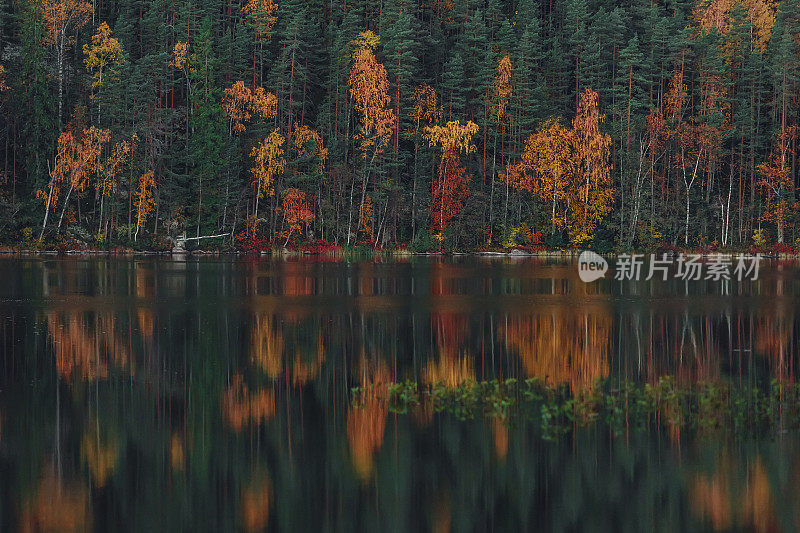 金秋的湖面上，五彩缤纷的芬兰树叶