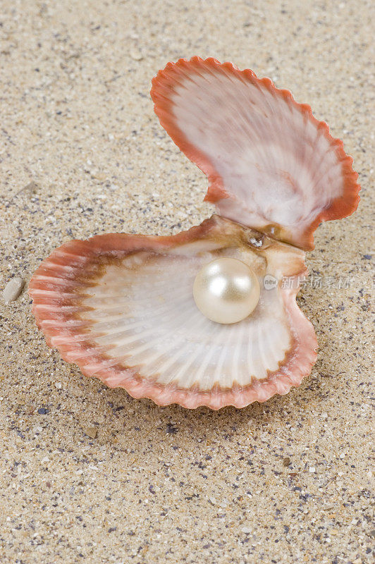 珍珠在壳