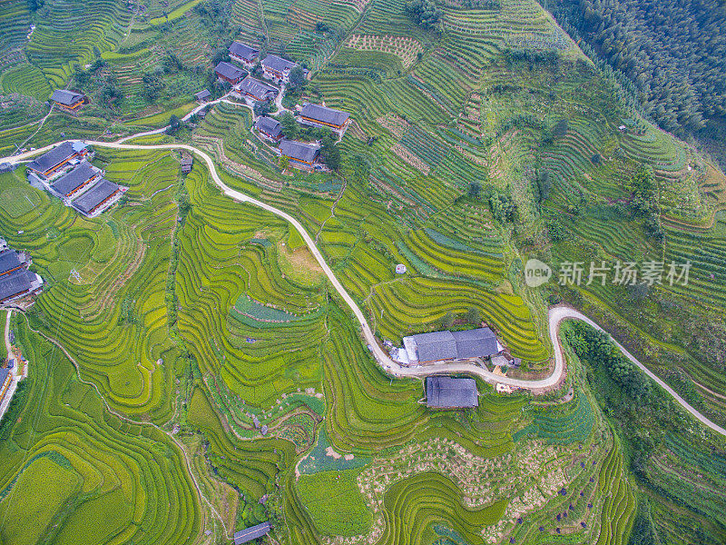 空中龙脊梯田