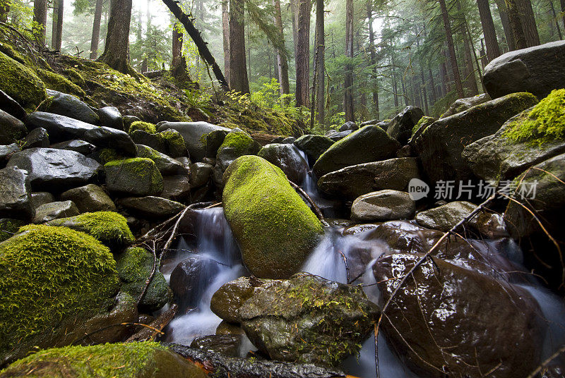 岩石上覆盖着溪流和苔藓