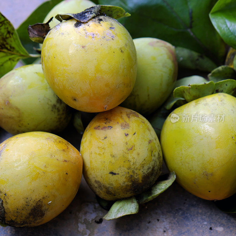 柿子，越南农产品