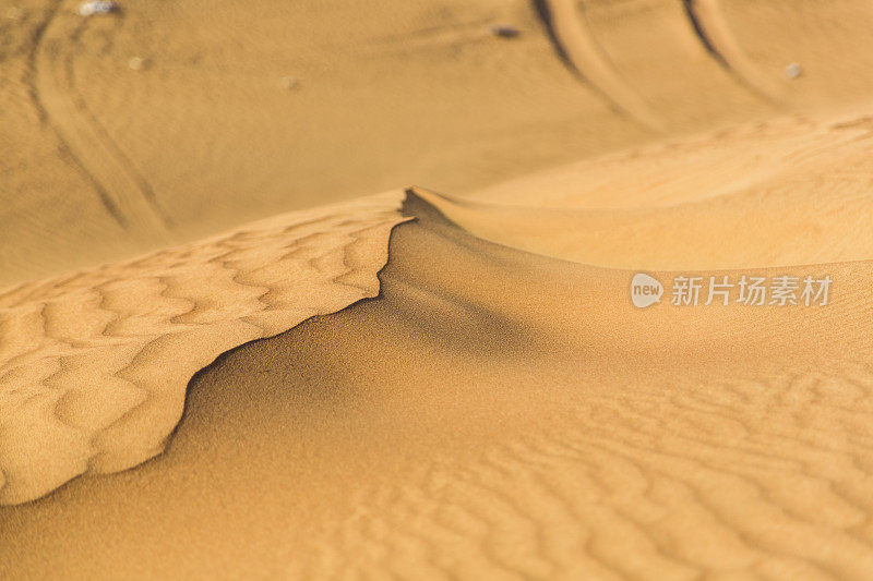 迪拜沙漠中的沙丘