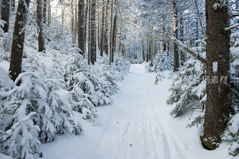 白雪覆盖的阿巴拉契亚步道与白色的火焰标记在罗恩山