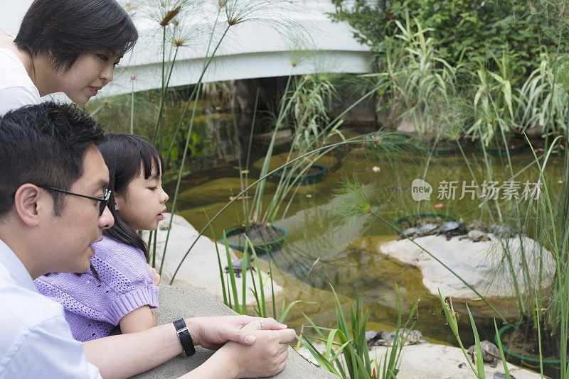 中国家庭看龟和鱼，香港公园
