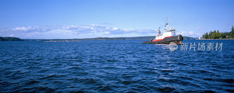 拖船拖曳原木，普吉特海湾，美国华盛顿