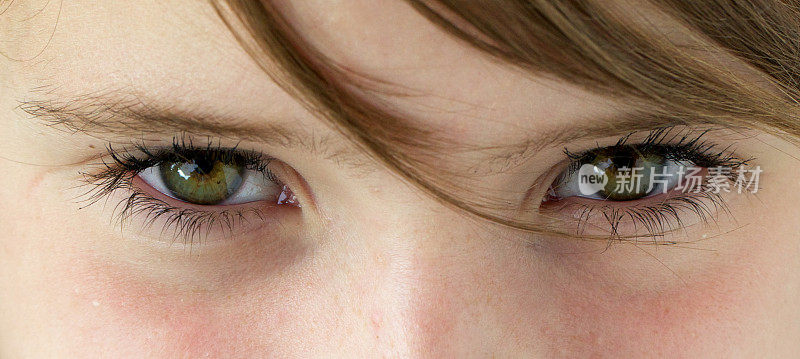 一个年轻女孩的绿眼睛